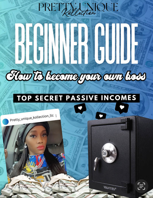 Beginner Guide